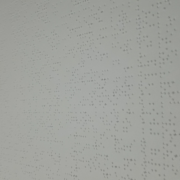 Braille Book Accents New Trouble Next Door Braille Book For The